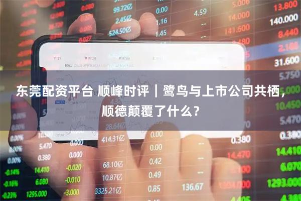 东莞配资平台 顺峰时评｜鹭鸟与上市公司共栖，顺德颠覆了什么？