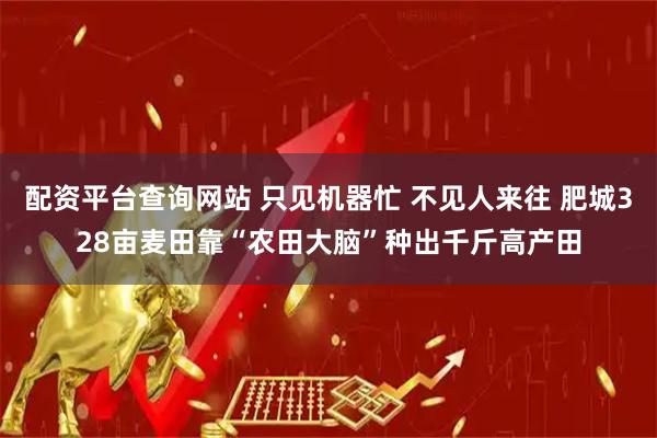 配资平台查询网站 只见机器忙 不见人来往 肥城328亩麦田靠“农田大脑”种出千斤高产田