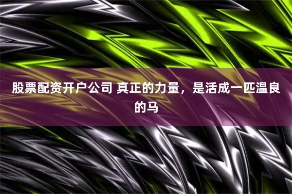 股票配资开户公司 真正的力量，是活成一匹温良的马