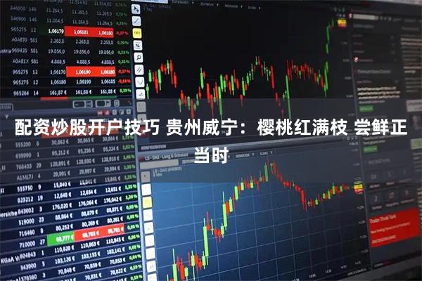 配资炒股开户技巧 贵州威宁：樱桃红满枝 尝鲜正当时