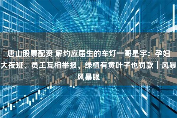 唐山股票配资 解约应届生的车灯一哥星宇：孕妇上大夜班、员工互相举报、绿植有黄叶子也罚款｜风暴眼