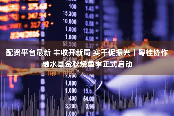 配资平台最新 丰收开新局 实干促振兴｜粤桂协作融水县金秋烧鱼季正式启动